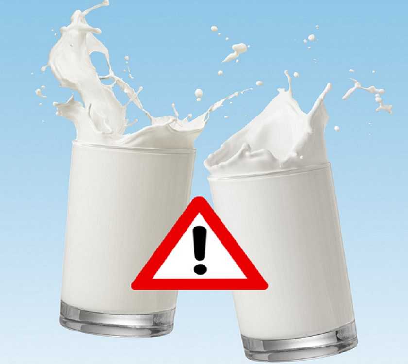 Does milk make you fat? Does milk make you fat?