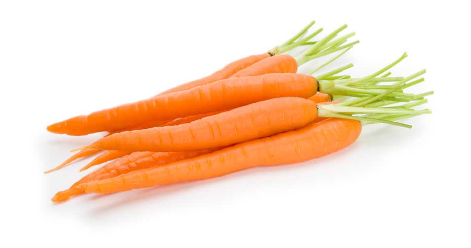 Carrots Carrots