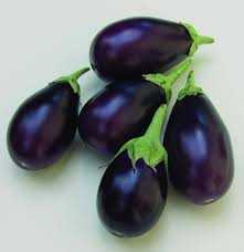 Eggplant Eggplant