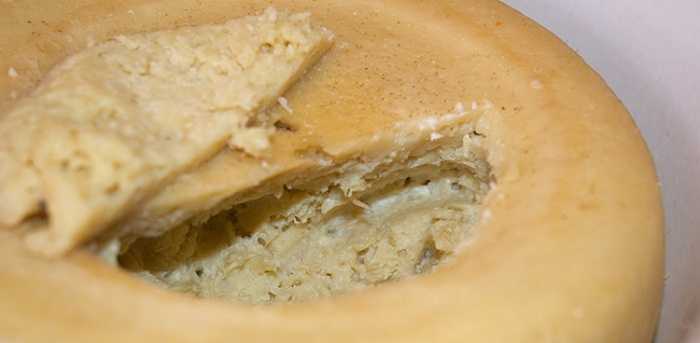 Casu Marzu