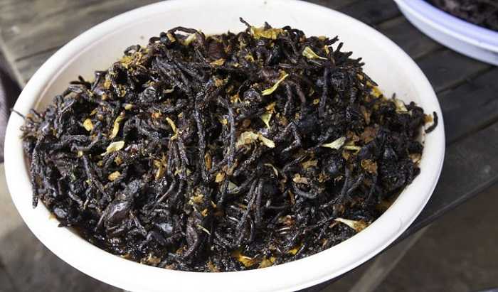 Fried Tarantula