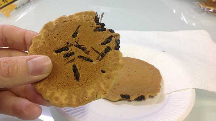 Wasp Crackers