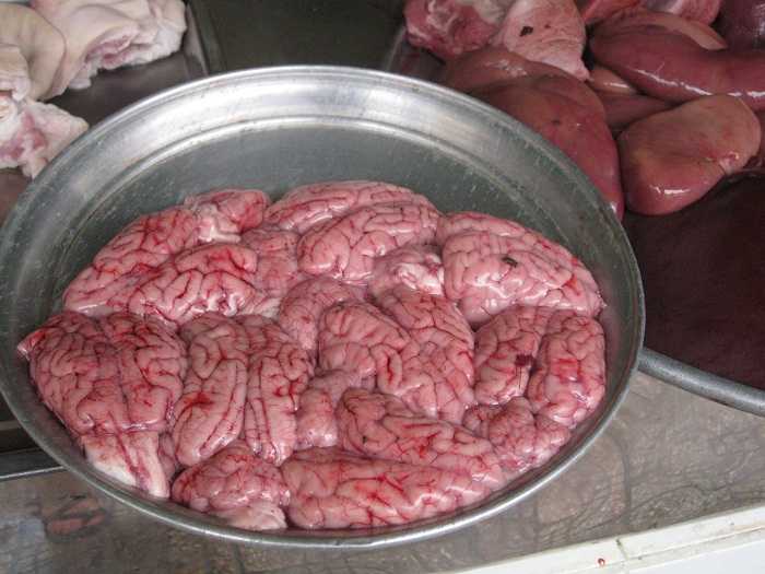 Monkey Brains